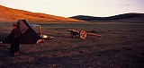 herder with cart